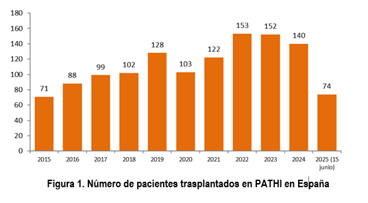 grafico.jpeg