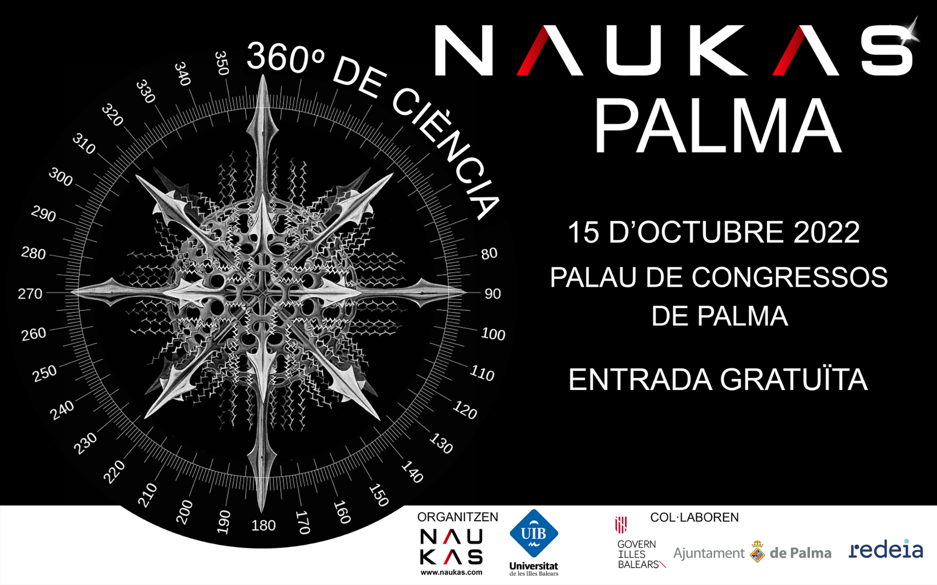 683703 naukaspalma cat. h1.png