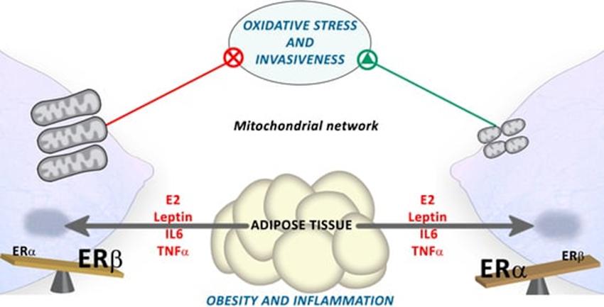 12431