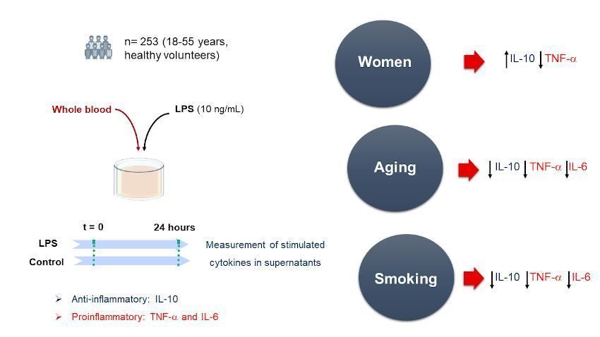 Graphical abstract