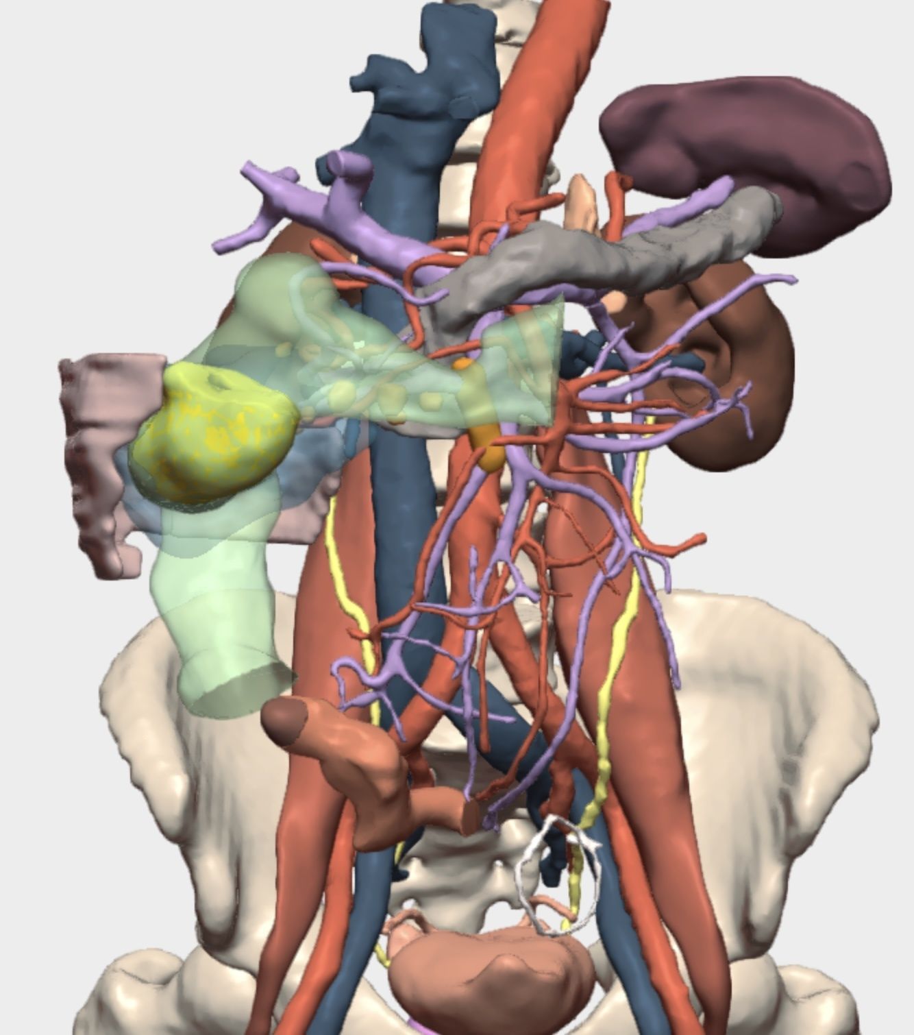 Imagen3DColon