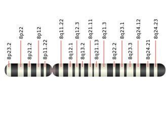 cc-epr17