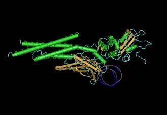 cc-epr185