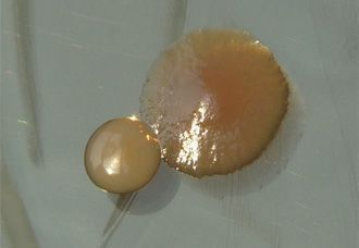 cc-epr359