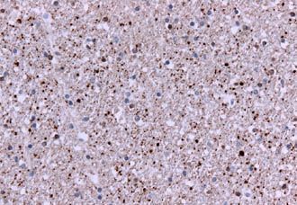 cc epr483