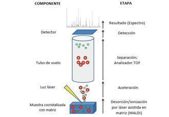 cc epr513