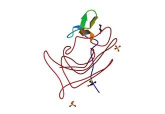 cc-epr54