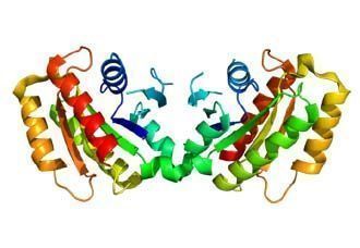 cc-epr58