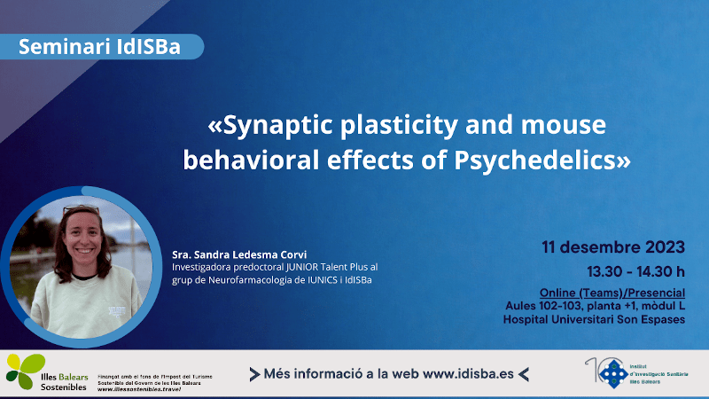 Synaptic plasticity and mouse behavioral effects of Psychedelics