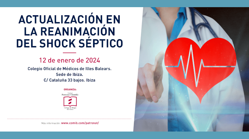 Actualización en la reanimación del shock séptico