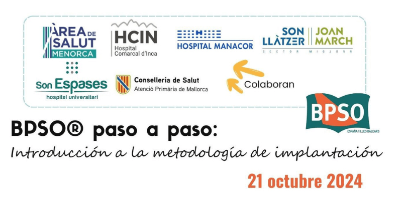 BPSO paso a paso: introducción a la metodología de implantación