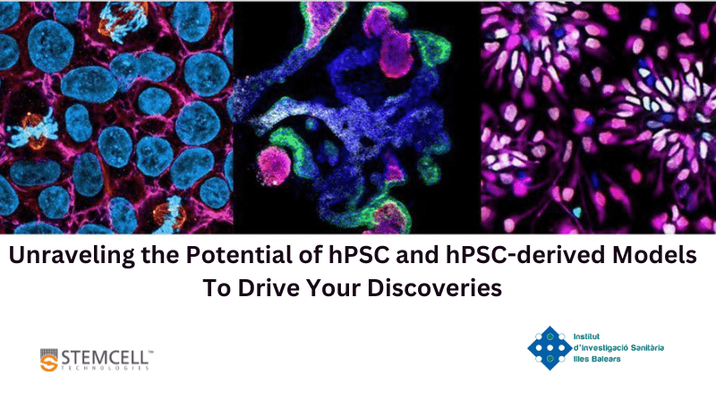 Unraveling the Potential of hPSC and hPSC-derived Models. Everything Starts with The Right Tools 