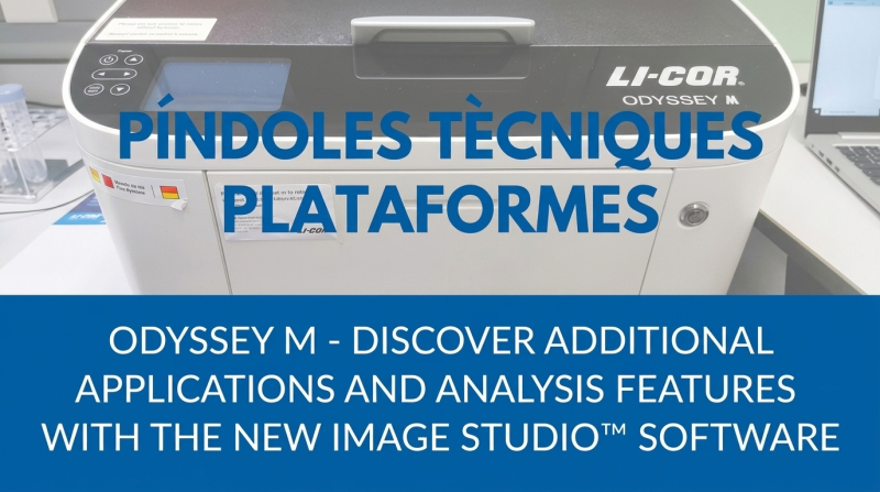 Píndoles tècniques de plataformes: Odyssey M, noves aplicacions i funcionalitats d’anàlisi amb el software Image Studio™ 