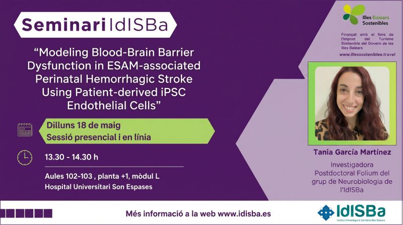 Modeling Blood–Brain Barrier Dysfunction in ESAM-associated Perinatal Hemorrhagic Stroke Using Patient-derived iPSC Endothelial Cells